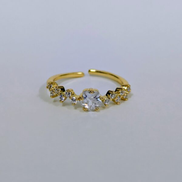 Tiara Ring
